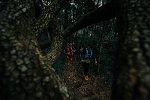 BIB: 
                            <button type="button" onclick="openModal(25688688)" class="btn btn-primary btn-sm float-right btn-popup" data-toggle="modal" data-target=".modal-high-quality">
                        <i class="fas fa-shopping-cart"></i> Add to Cart
                    </button>
                                            <button type="button" onclick="isThisMe(25688688, true)" class="btn btn-success btn-sm float-right btn-popup btn-isme hidden" data-toggle="tooltip" data-placement="bottom" title="นี่คือรูปของคุณใช่ไหม คลิกที่นี่เพื่อเอาเข้าอัลบั้ม">
                        <i class="fas fa-plus"></i> Add to album
                    </button>
                    <button type="button" onclick="isThisMe(25688688, false)" class="btn btn-warning btn-sm float-right btn-popup btn-isnotme hidden">
                        <i class="fas fa-ban"></i> Remove from album
                    </button>